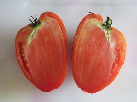Ochsenherz Tomaten mit viel Fruchtfleisch