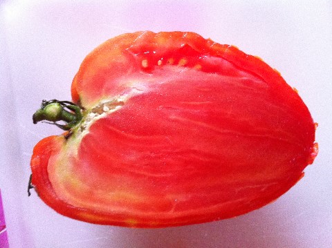 Cuore Bue Tomaten mit sehr wenigen Kernen