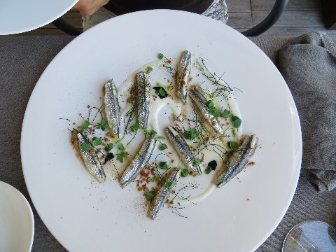 Sardinen Sardinen