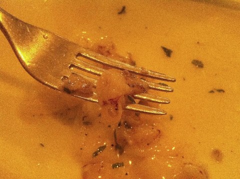 Rohe marinierte Calamari - shhon mal probiert? Rohe marinierte Calamari - shhon mal probiert?