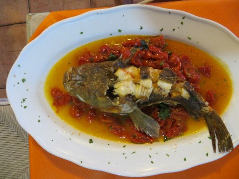 Lucerna - ebenfalls ein Anglerfisch. Genossen auf den wunderbaren Isole Tremiti. Lucerna - ebenfalls ein Anglerfisch. Genossen auf den wunderbaren Isole Tremiti.