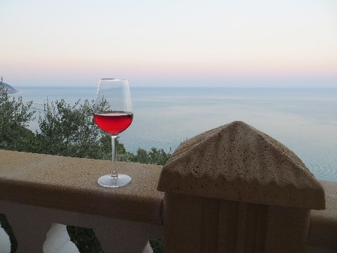Wein mit Ausblick - was mache ich eigentlich hier wieder in Wien? Am besten gleich wieder in den Süden... Wein mit Ausblick - was mache ich eigentlich hier wieder in Wien? Am besten gleich wieder in den Süden...